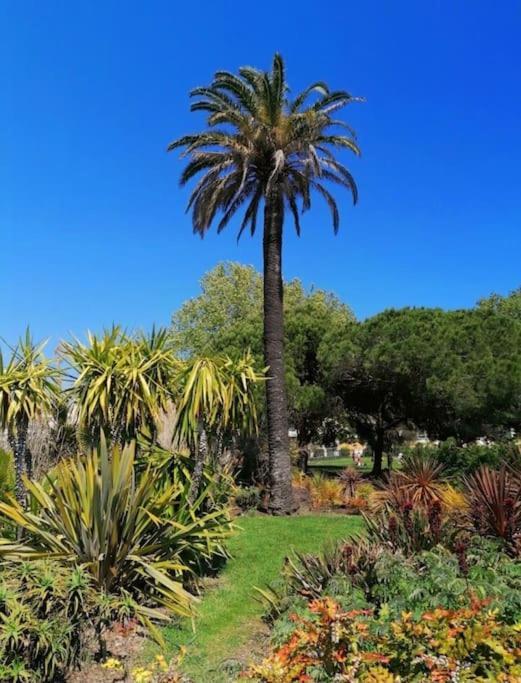 Charmant Studio Renove A Antibes, Plage A 10 Min A Pied Dış mekan fotoğraf